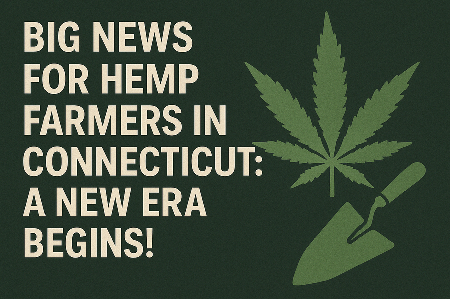 🌱 Big News for Hemp Farmers in Connecticut: A New Era Begins!