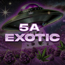 5A EXOTIC