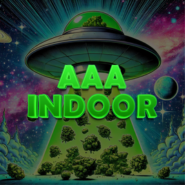 AAA INDOOR