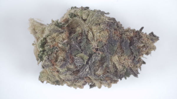 Chemlato x Donnie Burger - Fresh Dep