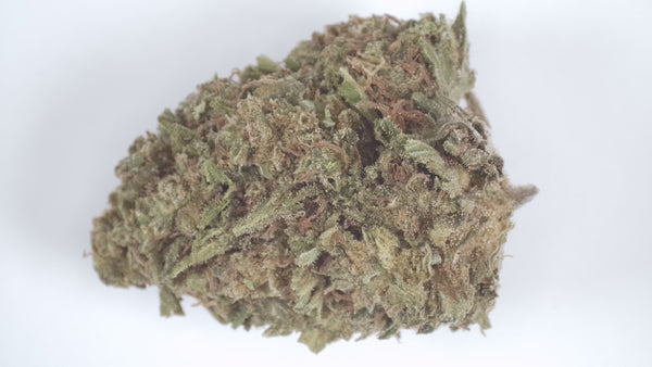 Acapulco Kush - Fresh Dep
