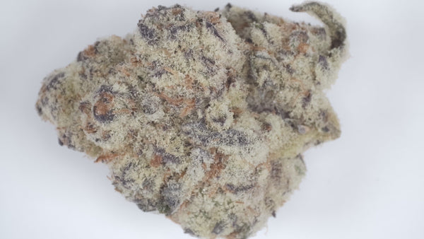 Bahama Busdown — Super Exotic