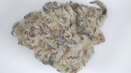 Bahama Busdown — Super Exotic