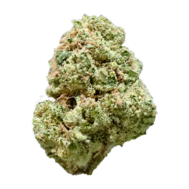 LADY BIRD - 5A EXOTIC