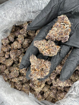 TROPICANA COOKIES - AAAA CRAFT INDOOR WHOLESALE