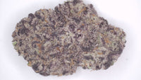 Black Dolphin — Premium Exotic