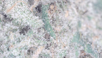 Blue Dream — Premium Exotic