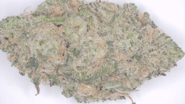 Blue Dream — Premium Exotic