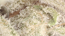 Strawberry Cadillac — Super Exotic