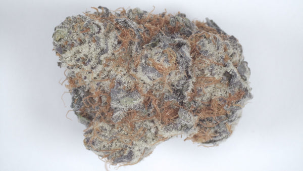 Gary Pineapple — Super Exotic