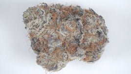 Gary Pineapple — Super Exotic