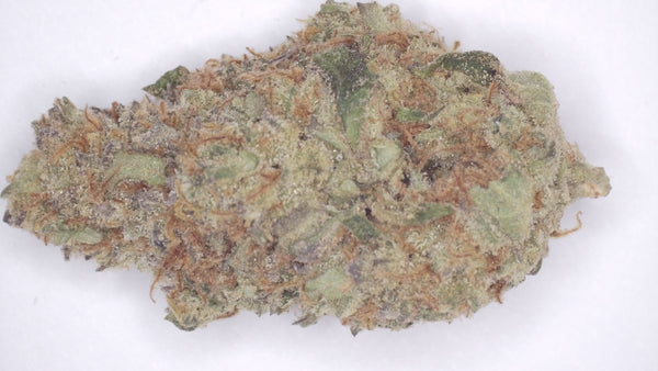 Future Haze — Premium Exotic