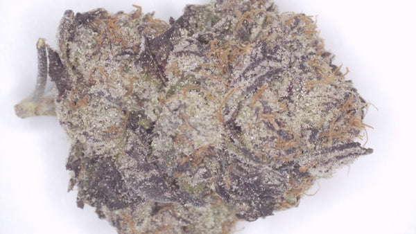 G47 — Super Exotic