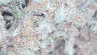 GMO Cookies — Fresh Deps