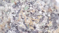 Grape Candy — Super Exotic