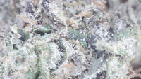 Hashburger — Premium Exotic