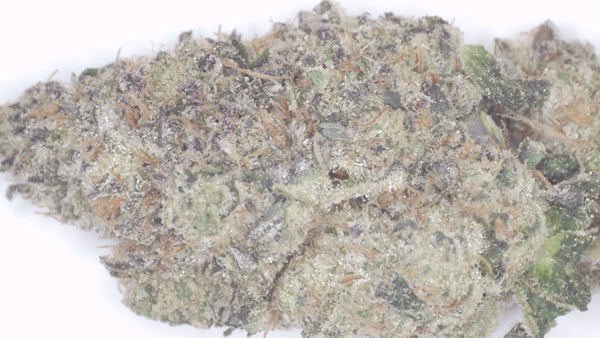 Hashburger — Premium Exotic