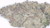 Hashburger — Premium Exotic