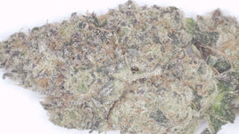Hashburger — Premium Exotic