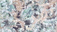 Memory Loss — Premium Exotic