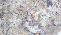 Mendo Breath — Unicorn