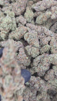 Future Haze — Premium Exotic