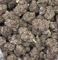 Black Dolphin — Premium Exotic