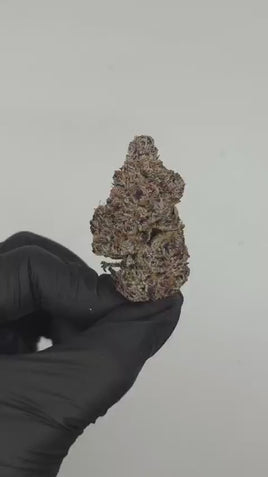 Candy Gas — Super Exotic