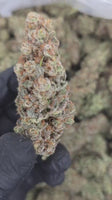 Purple Magnolia — Super Exotic