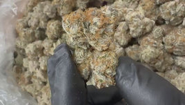 Gary Pineapple — Super Exotic