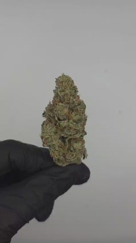 Strawberry Cadillac — Super Exotic