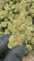 Memory Loss — Premium Exotic