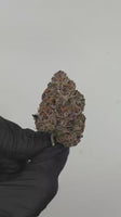Grape Candy — Super Exotic