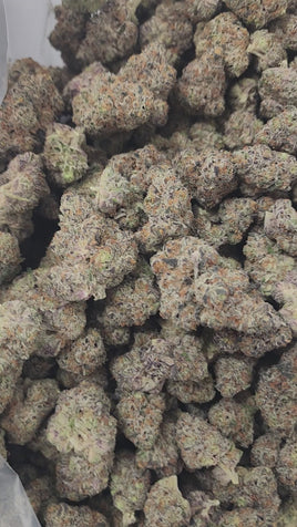 CADILLAC RAINBOW - AAAA CRAFT INDOOR WHOLESALE