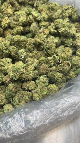 Acapulco Kush Fresh Dep