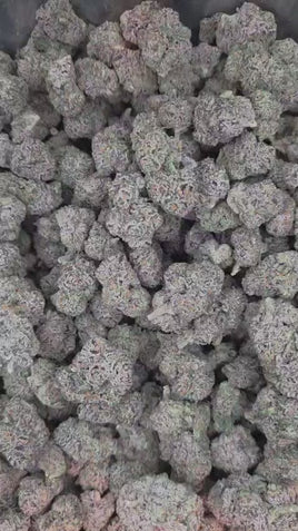 Drippin Dots — Super Exotic