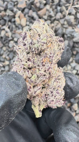 Banana OG — Super Exotic