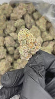 Scissor Queen — Super Exotic