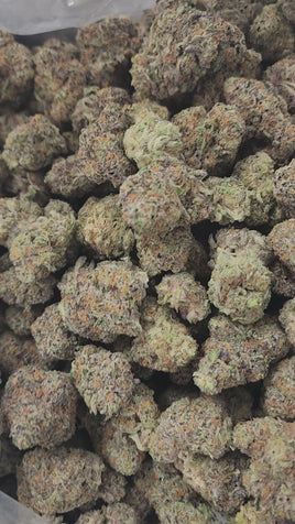 KARMA OG - AAAA CRAFT INDOOR WHOLESALE