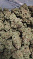 WHITE CHERRY SLIME - AAAA CRAFT INDOOR WHOLESALE