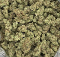 Slurricane — Fresh Deps