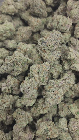 41 GORILLA - AAAA CRAFT INDOOR WHOLESALE