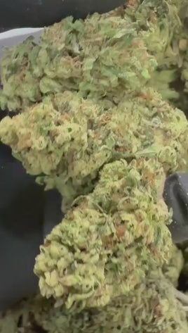 Sour Diesel Fresh Dep