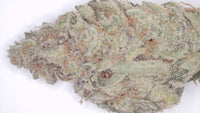 Purple Magnolia — Super Exotic