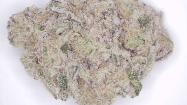 Scissor Queen — Super Exotic